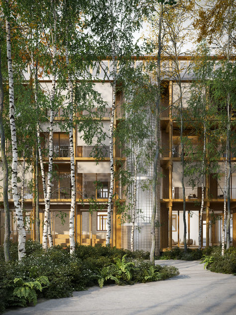 Hauptsitz F. G. Pfister-Stiftung, Suhr 