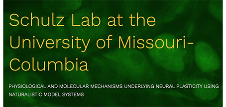 New Schulz Lab website launched