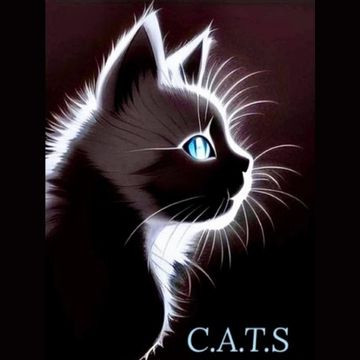 Cats Rescue Gloucestershire logo
