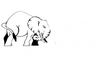 vci_logo_blue.png