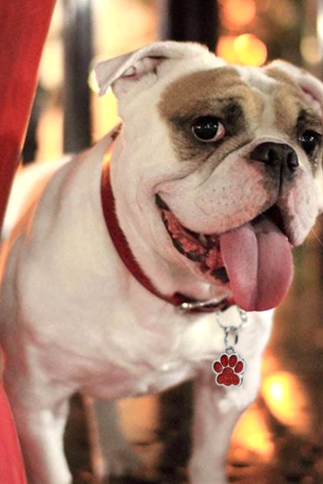 Miniature : Médaillon - Perte / Prévention