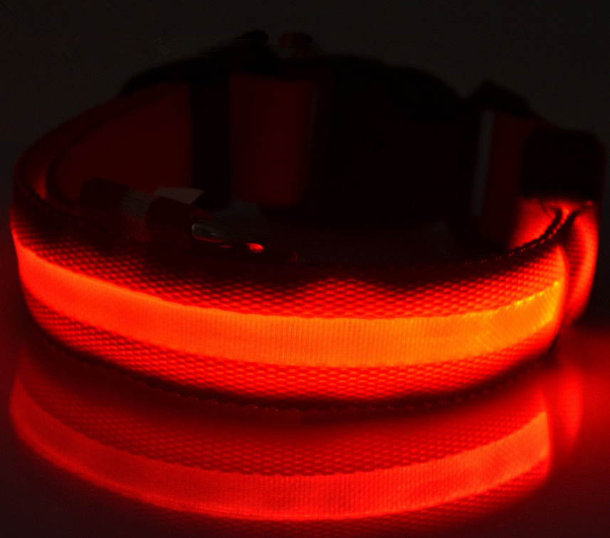 Miniature : Collier Led - Collection éduc'light'stucieux