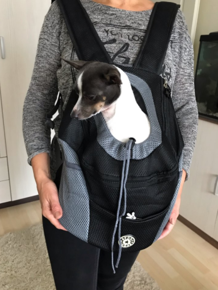 Miniature : Transpor't Dog