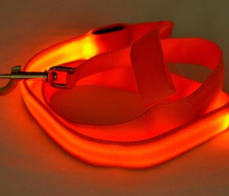 Miniature : Laisse Led - Collection éduc'light'stucieux