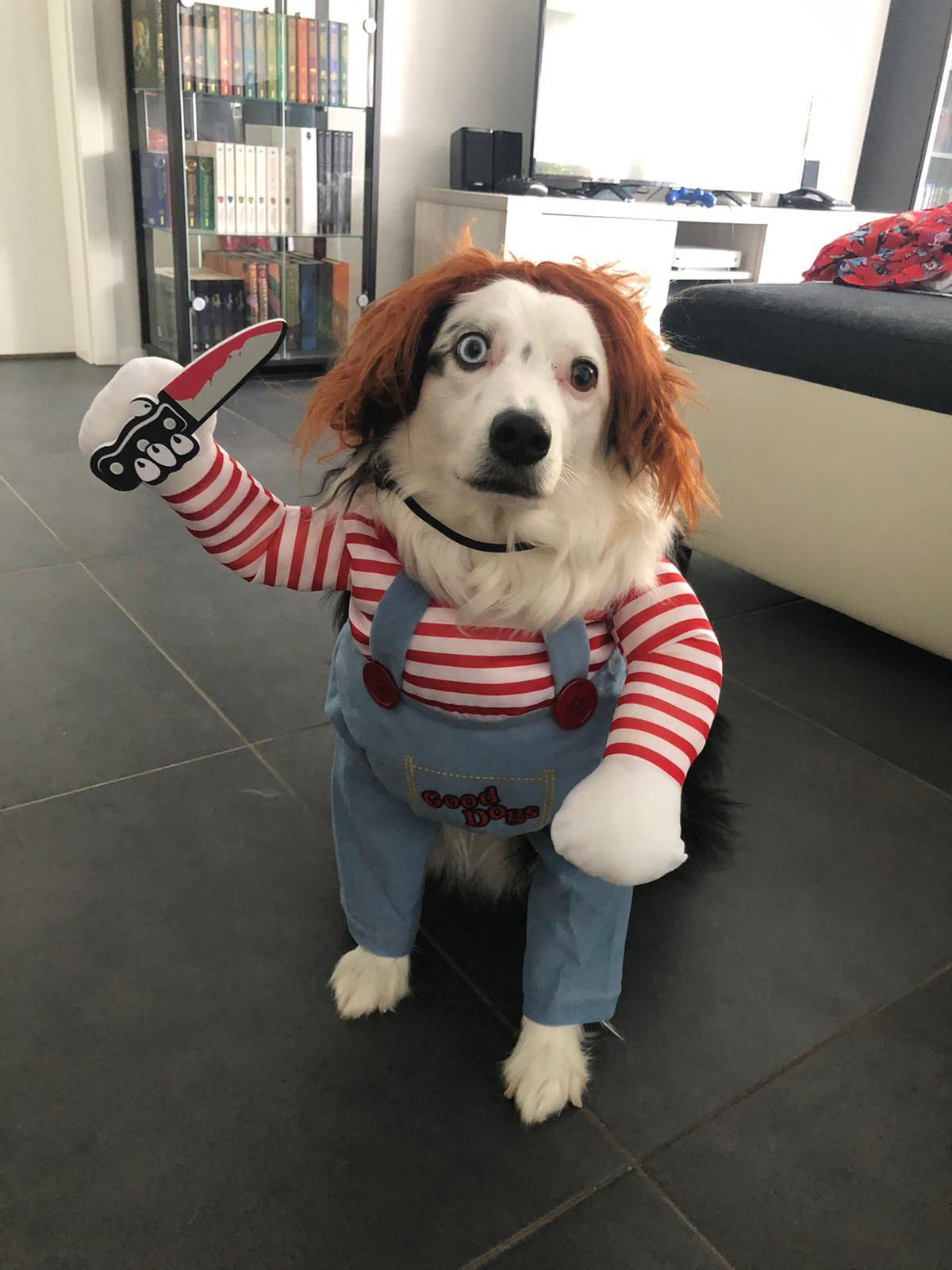 Costume - Chucky
