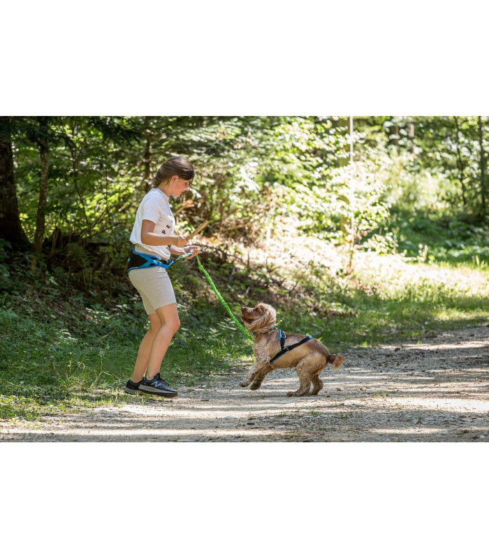 Miniature : Trekker - ceinture canicross/canirando