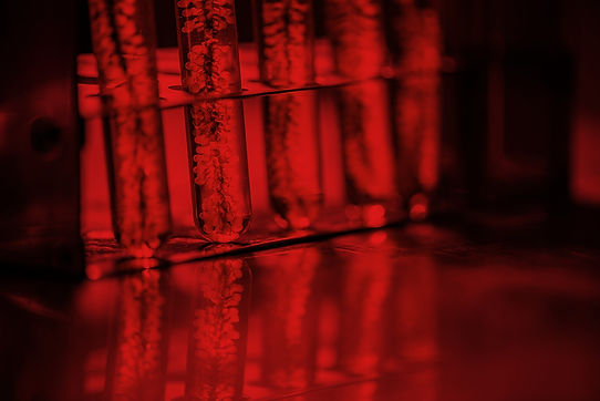 Photobioreactor in lab algae fuel biofuel industry_edited.jpg