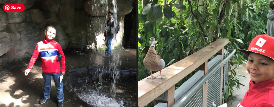 From Shoveling Snow to Tropical Glow: My Secret Cleveland "Warm-Up" Plan ☀️🧤
