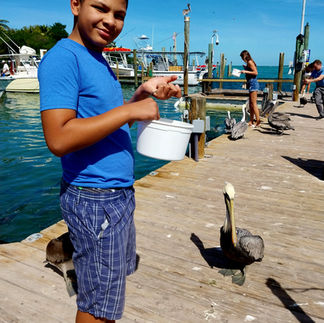 A teenage boy holding a white bait bucket on a wooden dock with wild pelicans standing nearby at Robbie's Marina in Islamorada, Florida.