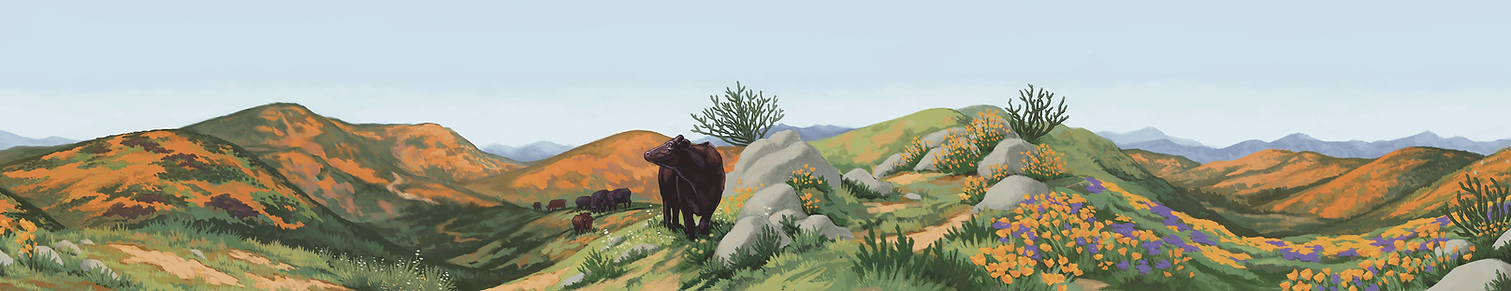 DaLeTruckWrap_websitebanner.png
