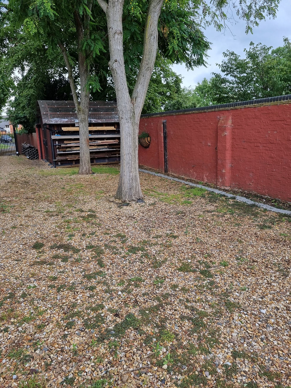 20230712_162717_resized