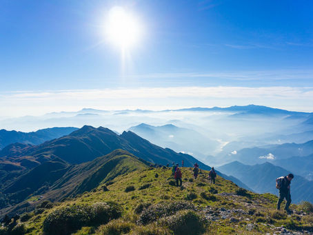 Discover the Enchanting “Cloud Paradise” of Ta Chi Nhu: Only Four Hours from Hanoi with Unique Blossoms that Bloom Once a Year