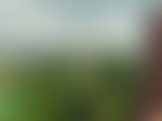 Thuê Xe Limousine Tại Bắc Ninh 7-9-11-16-18 Chỗ Từ Vietnam Transport – Đẳng Cấp Và Tiện Nghi