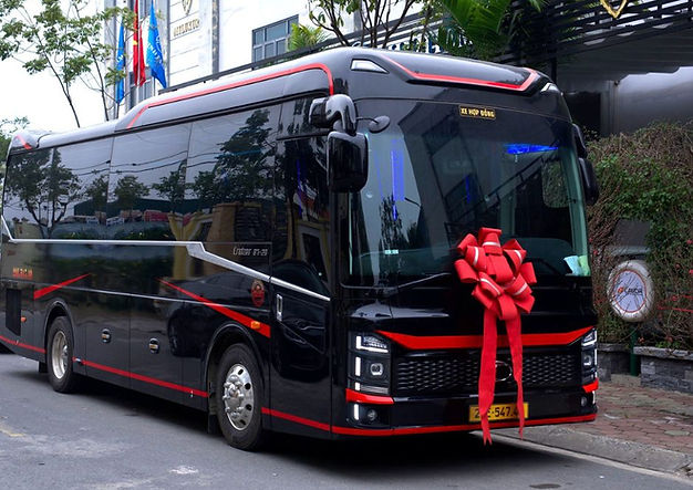 Thuê Xe Limousine 22 chỗ  (7).jpg