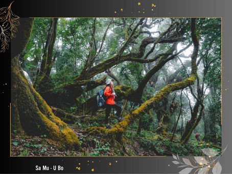 Where is Sa Mu - U Bo? A Trekking Odyssey Through Enchanting Wilderness