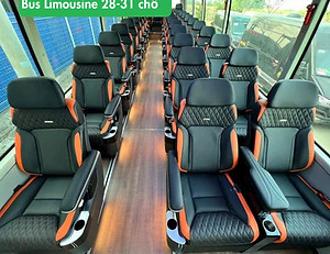 Bus Limousine 28-31 chỗ.jpg