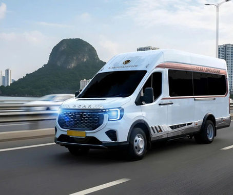 9-Seater Limousine vs. 16-Seater Ford Transit & Hyundai Solati: Best Rental for Families in Vietnam