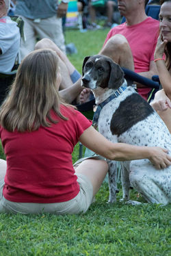Herald Harbor 30 June Summer Concert-0073 - Copy