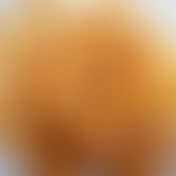 madeleine miel orange