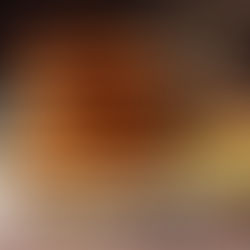 délicieux sablés au miel