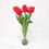 Thumbnail: Timeless Tulips