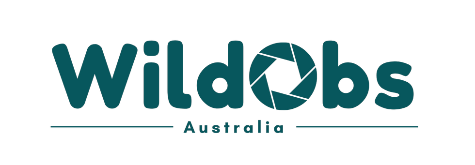 WildObs Logo(cropped+transparent).png