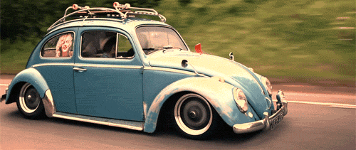 BUG GIF.gif