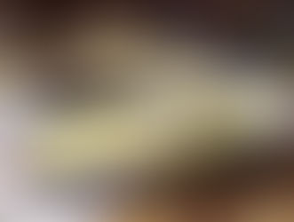 What’s It Worth?? 1962 Jaguar XKE Coupe ..The Most Beautiful Car Of All Time?