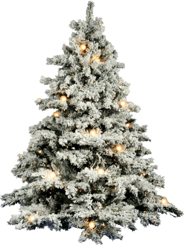 CHRISTMAS TREE2.gif