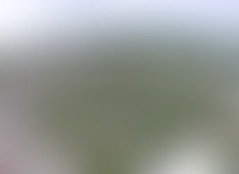 Vintage Auto Appraisal At The 2025 Carlisle Ford Nationals. ...Blue Oval Heaven