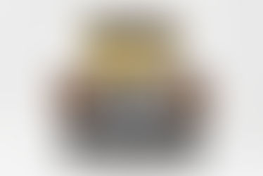 Automotive Website And Social Media Design By Vintage Auto Appraisal