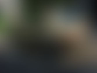 What's It Worth? 1982 Volkswagen Rabbit Diesel LS Deluxe ..Getting 50 MPG And Shaking A Bladder