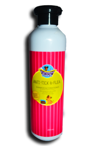 multiple cat carrier