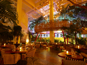 My Miami Food Guide: 10 Spots I Keep Going Back To