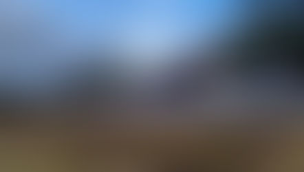 Butler's Farm Market Makes over 630-Pound Food Donation