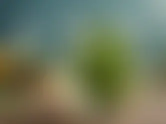 Unveil the Ancient Secrets of Herbal Spa Remedies for Unparalleled Relaxation