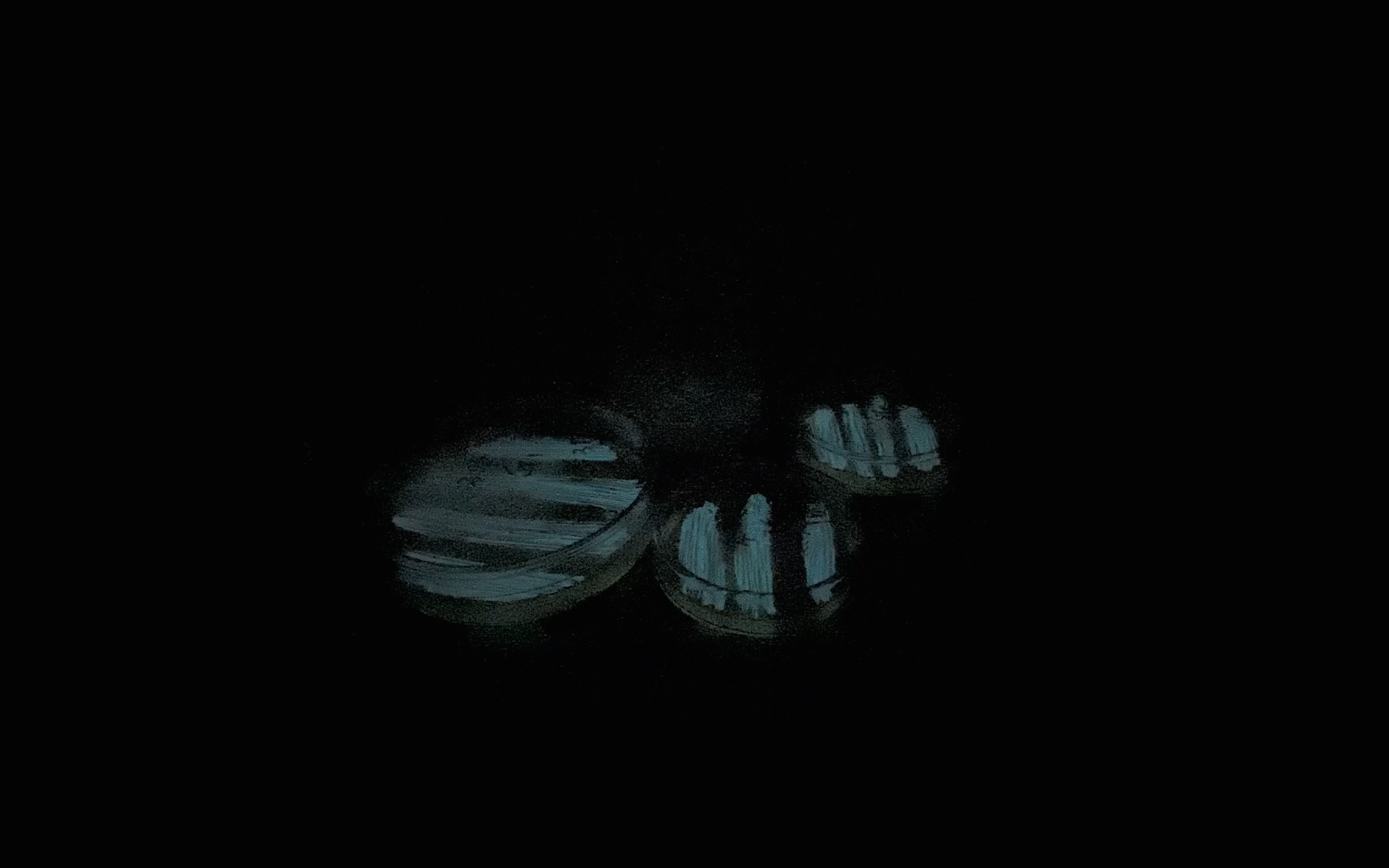 _DSC9110_Trim2的副本3