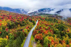 Vermont Foliage