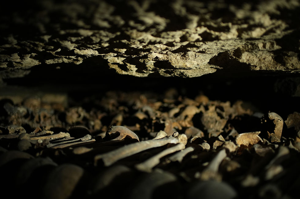 Dim close-up of a rocky cave floor scattered with bones and skull fragments, lit by warm light