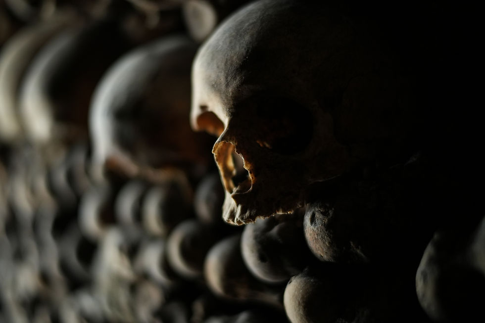 Close-up of human skulls stacked in a dark, eerie ossuary, with one skull sharply lit in the foreground.