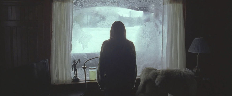 A woman looks out the window