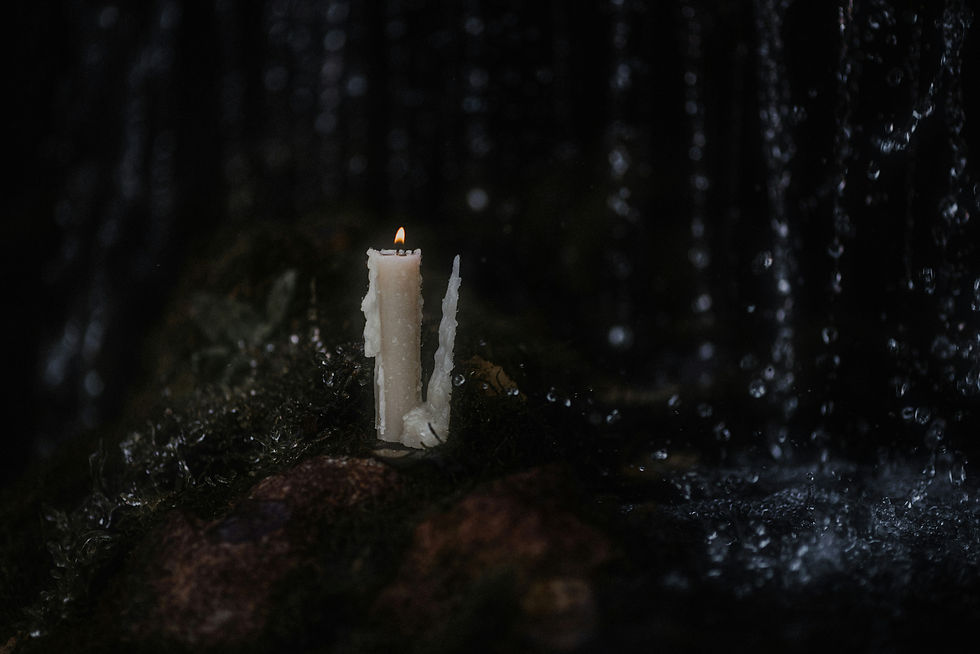 A candle burns in a dark forest