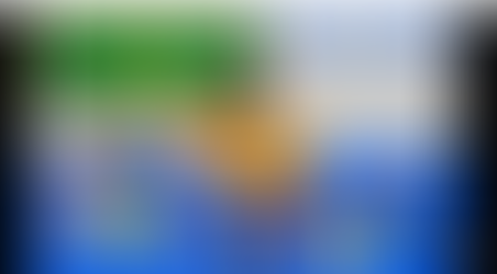 Spanish & English Word & Sentence Video Quiz