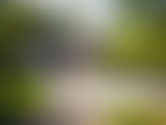 Columbus Ohio housing market 2025