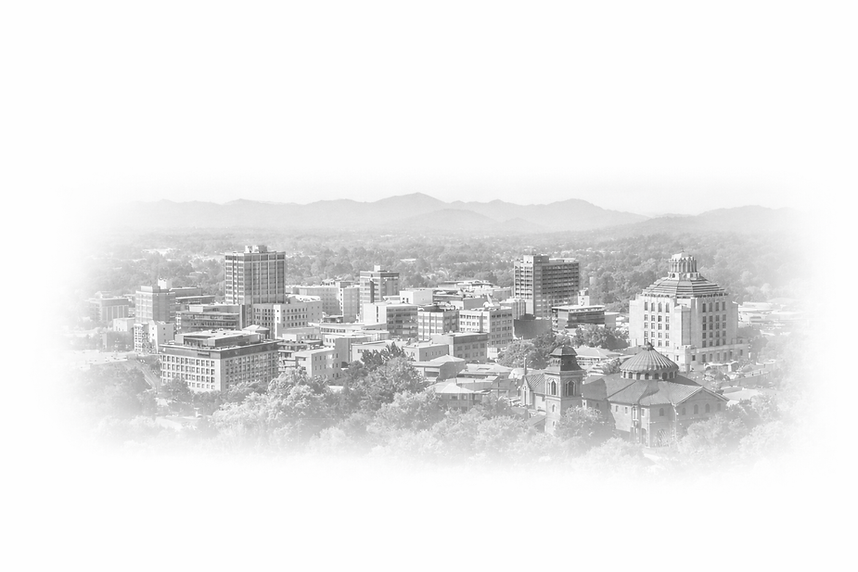 Avl Skyline (1).png