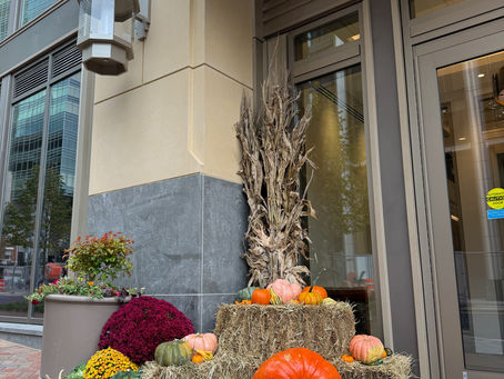 Fall pumpkin and mum display by Pumpkin City Designs in Washington DC, Maryland and Northern Virginia