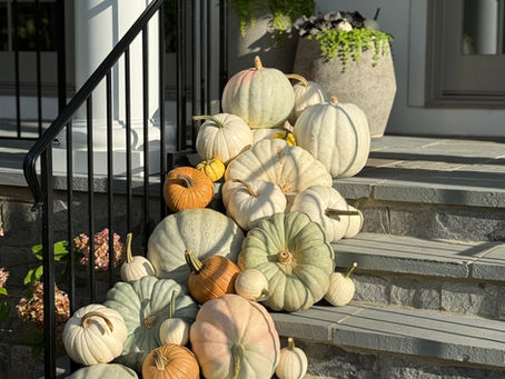 White and specialty pumpkin fall porch display by Pumpkin City Designs