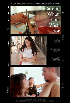 careful what you wish for poster.jpg