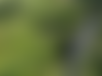 Why Panama Remains One of the Top Places to Retire in 2026: Discover True Simplicity at Rio Grande Eco Villas