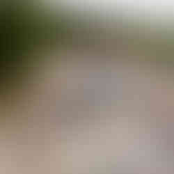 Skateparks soluciones en panama 